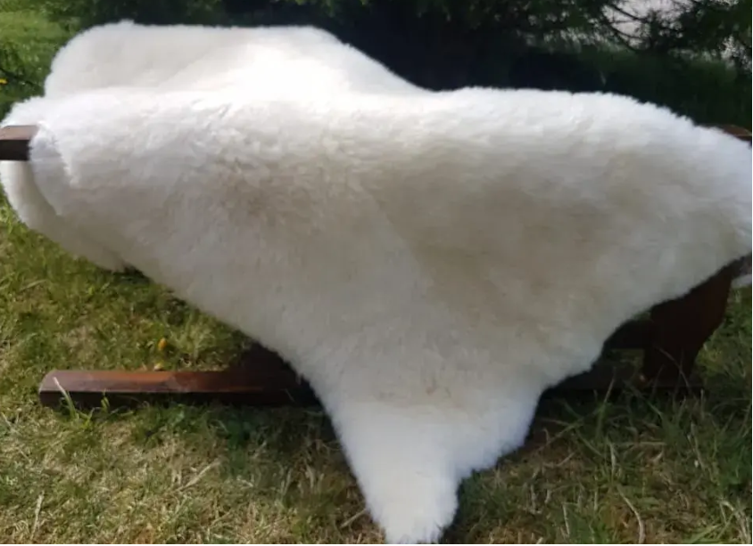 Piel de cordero (XL)